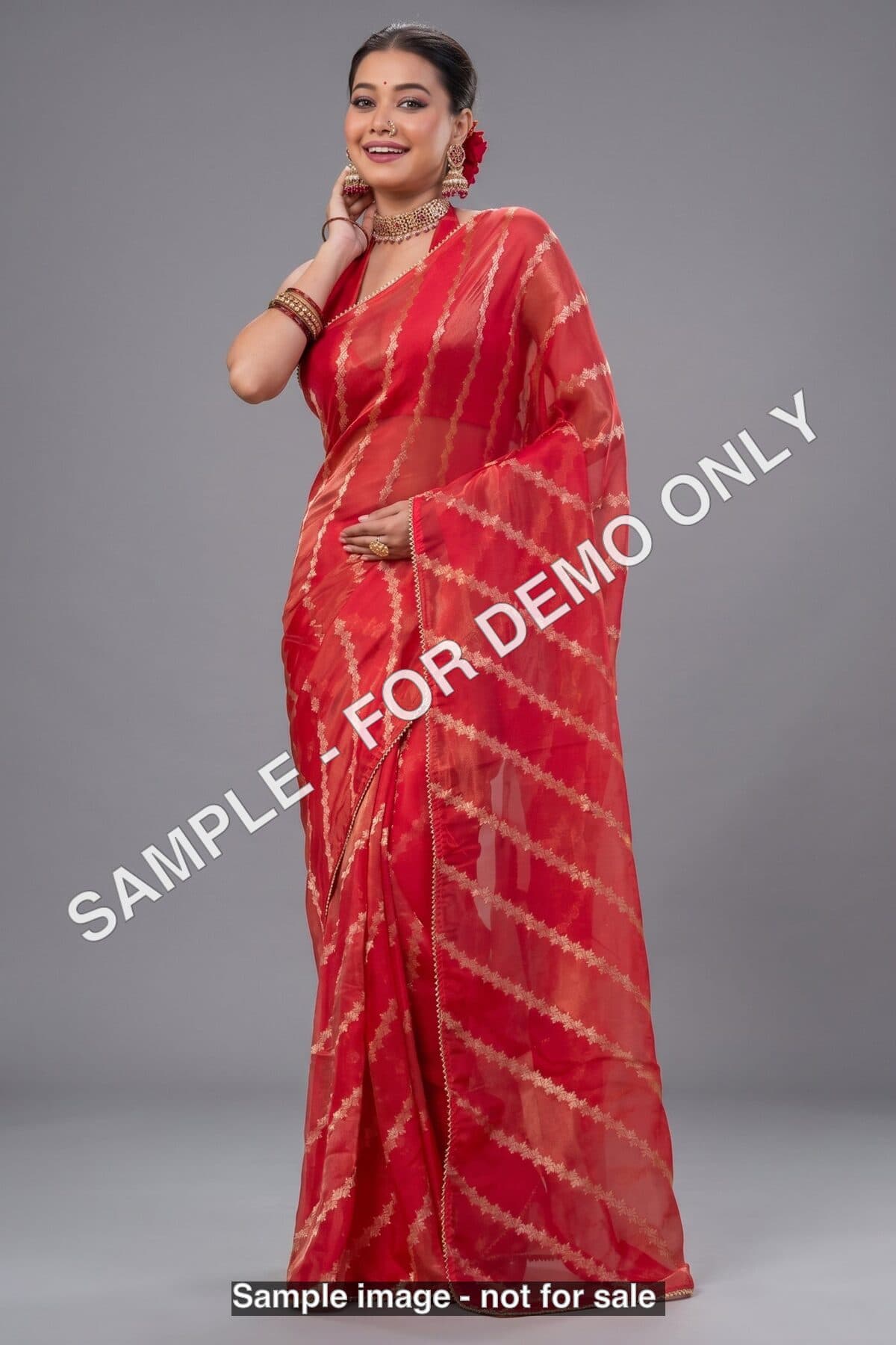 Sample - Pink organza tissue saree (demo)